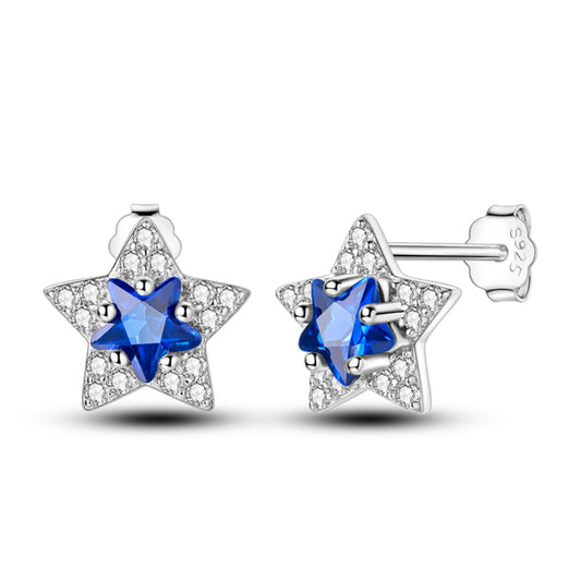 Gece Yıldızı Küpe