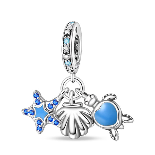 Deniz Yıldızı ve Kabuğu,Kaplumbağa Charm