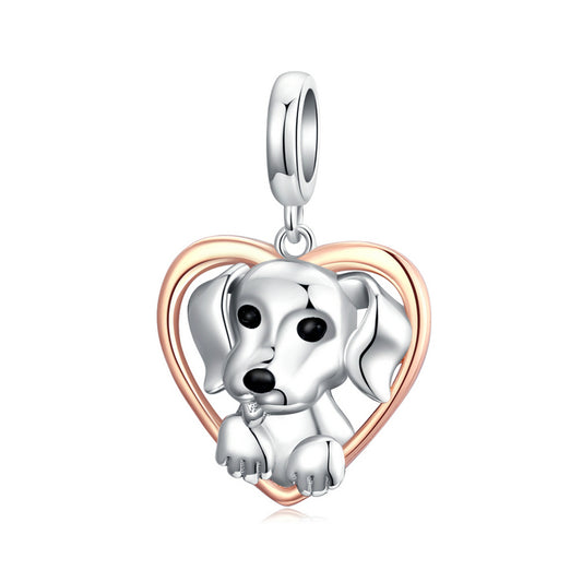 Köpek Sallantılı Charm