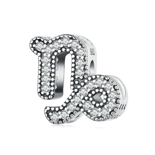 Oğlak Burcu Charm