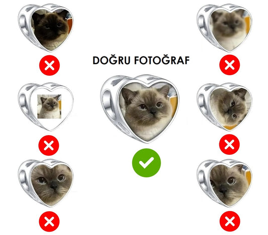 Patili Dostlar Charm