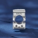 925 Ayar Gümüş Balık Burcu Charm