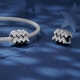 925 Ayar Gümüş Kova Burcu Charm